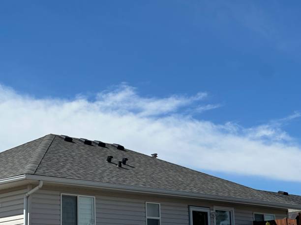 Best Roofing for New Construction  in Princeton, KY